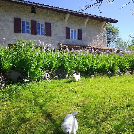 Chambre D'Hotes La Haie Fleurie Chevillard Eksteriør billede